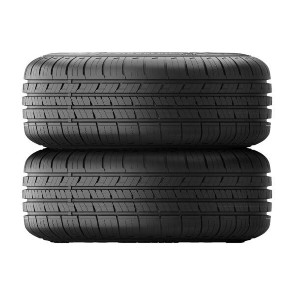 205/55R16 Fortune Perfectus FSR608 A/S Tire (94V)